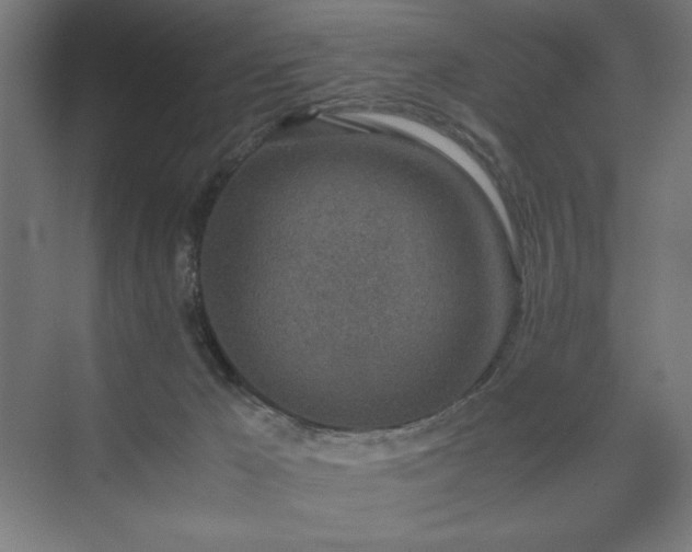 X0000074970029200609011227