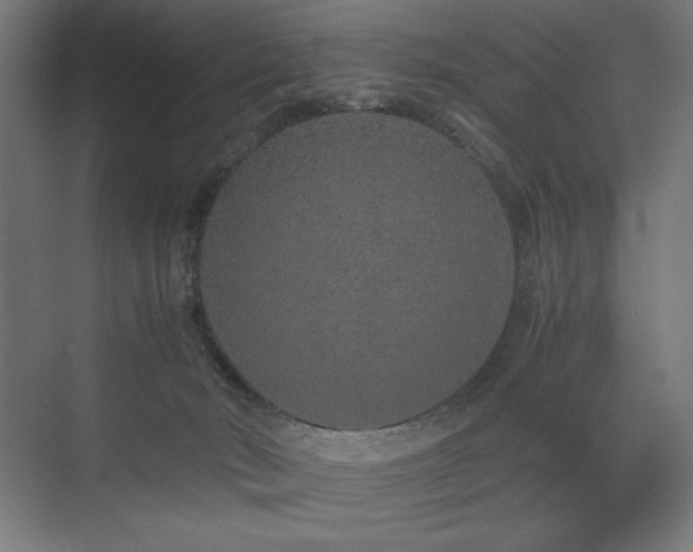 X0000074970030200609011227