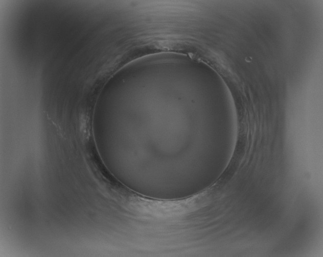 X0000074970031200609011227