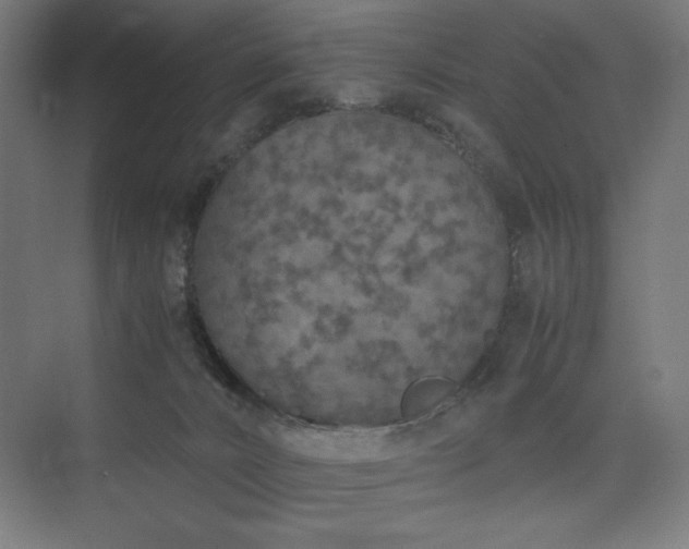 X0000074970032200609011227