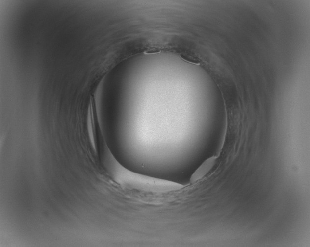 X0000074970033200609011227