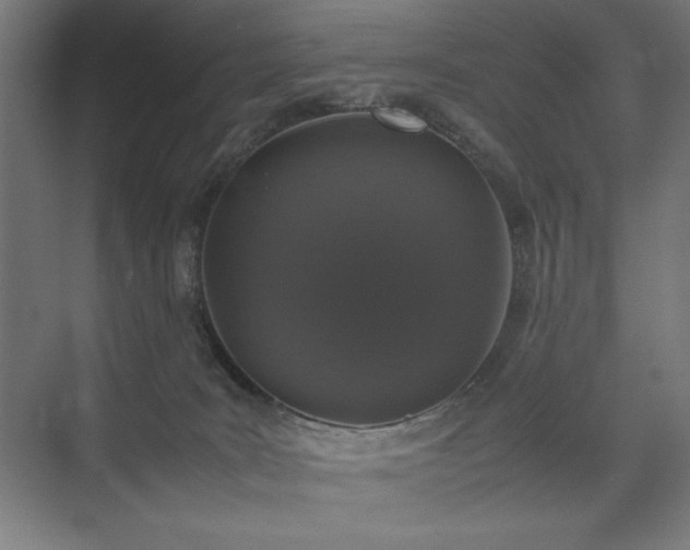 X0000074970035200609011227