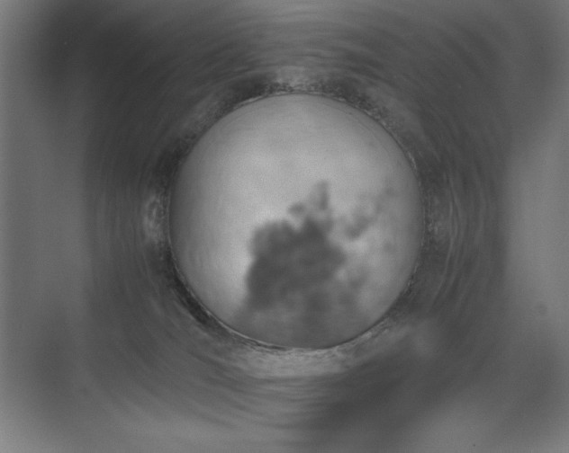 X0000074970036200609011227