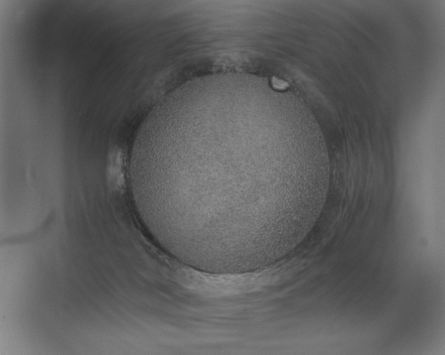 X0000074970038200609011227