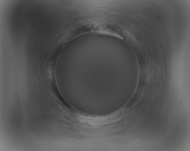 X0000074970039200609011227