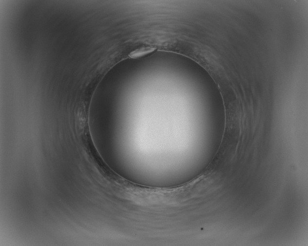 X0000074970040200609011227