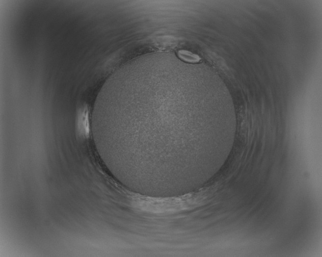 X0000074970042200609011227