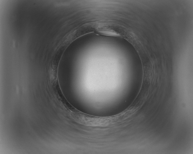 X0000074970044200609011227