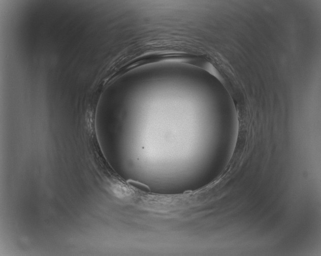 X0000074970045200609011227