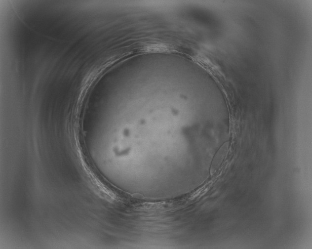 X0000074970049200609011226