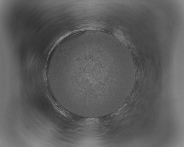 X0000074970050200609011226