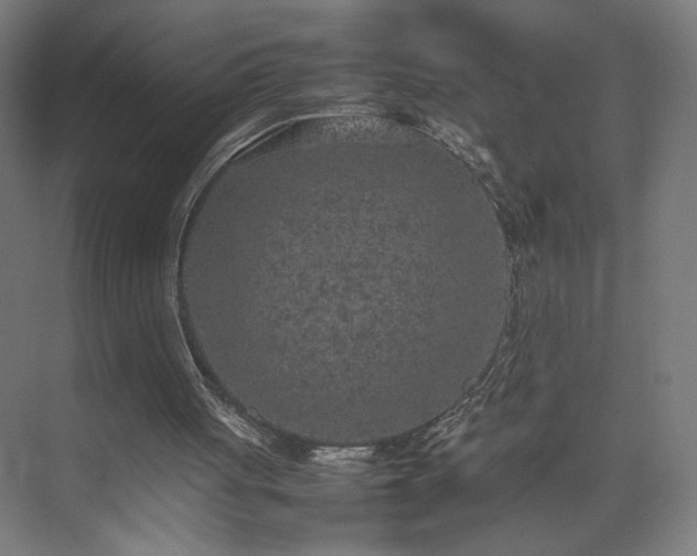 X0000074970051200609011226