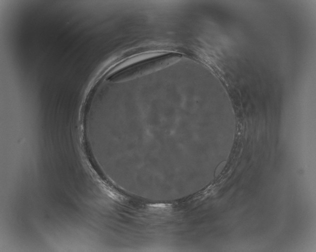 X0000074970053200609011226