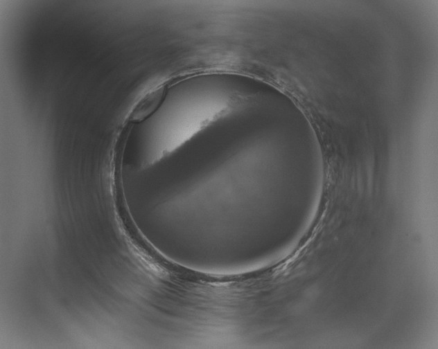 X0000074970054200609011226