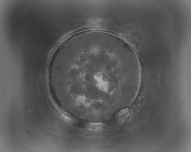 X0000074970055200609011226