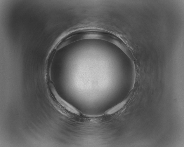 X0000074970056200609011226