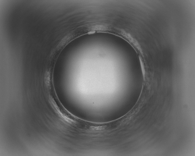 X0000074970057200609011226