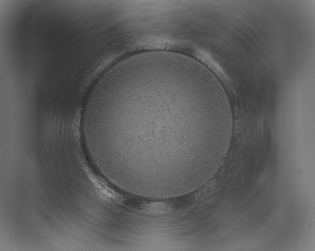 X0000074970058200609011226