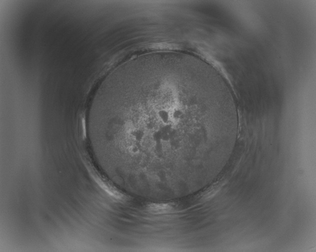 X0000074970061200609011226