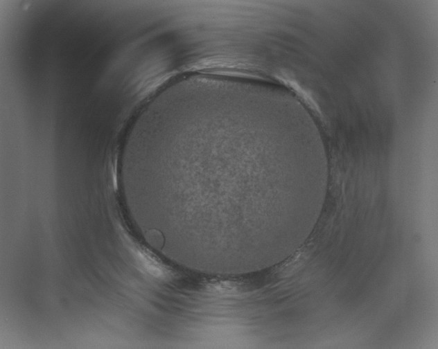 X0000074970062200609011226