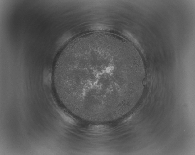 X0000074970063200609011226