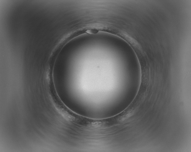 X0000074970064200609011226