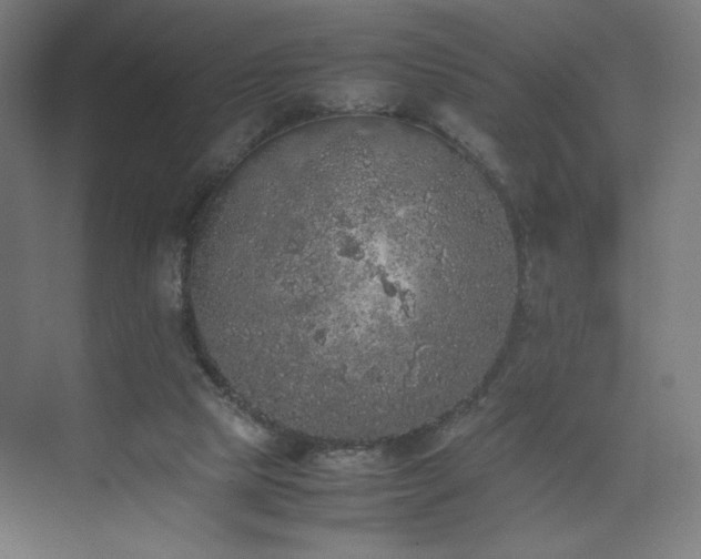 X0000074970065200609011226