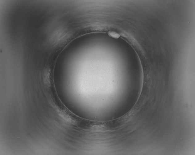 X0000074970066200609011226