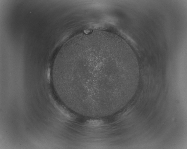 X0000074970067200609011226