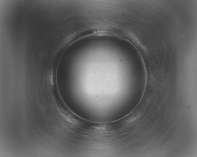 X0000074970068200609011226