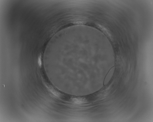 X0000074970069200609011226