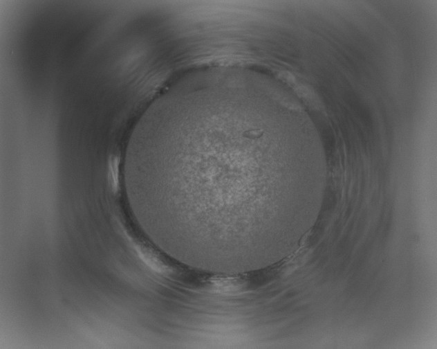 X0000074970070200609011227