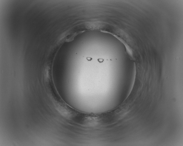 X0000074970071200609011227