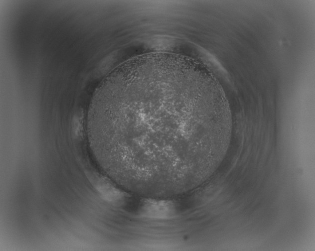 X0000074970073200609011227