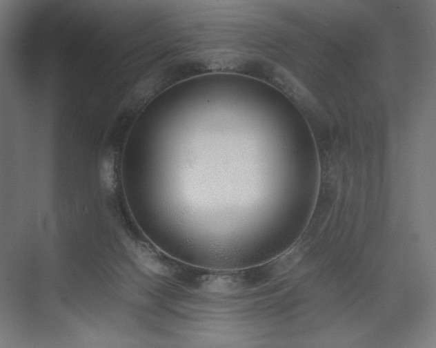 X0000074970074200609011227