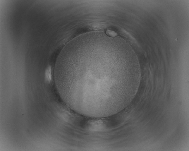 X0000074970075200609011227