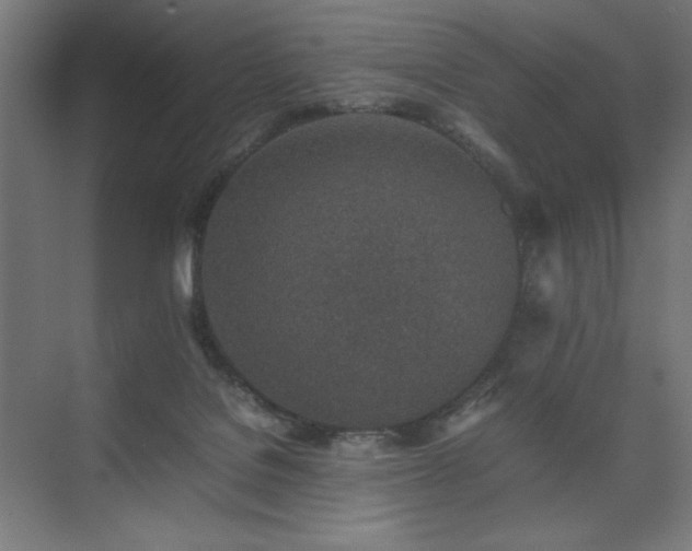 X0000074970076200609011227