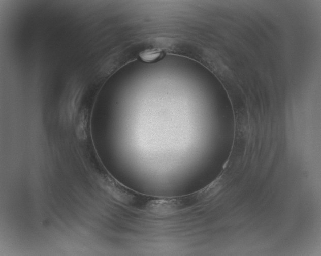 X0000074970082200609011227