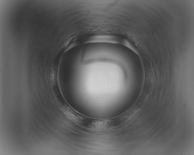 X0000074970084200609011227