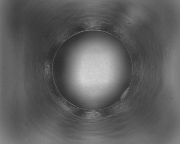 X0000074970087200609011227