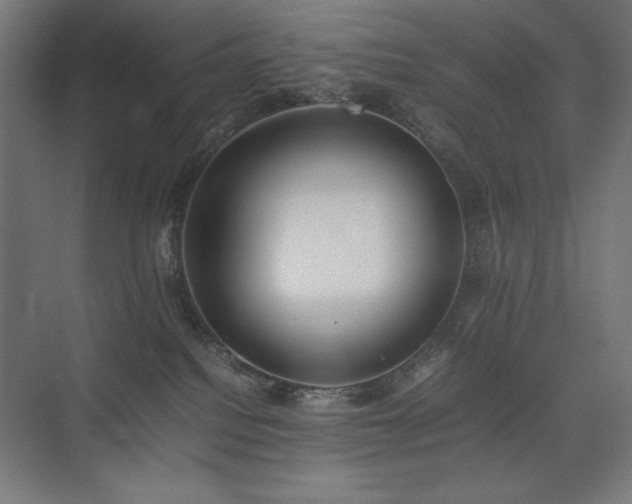 X0000074970088200609011227