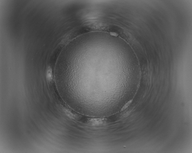 X0000074970089200609011227