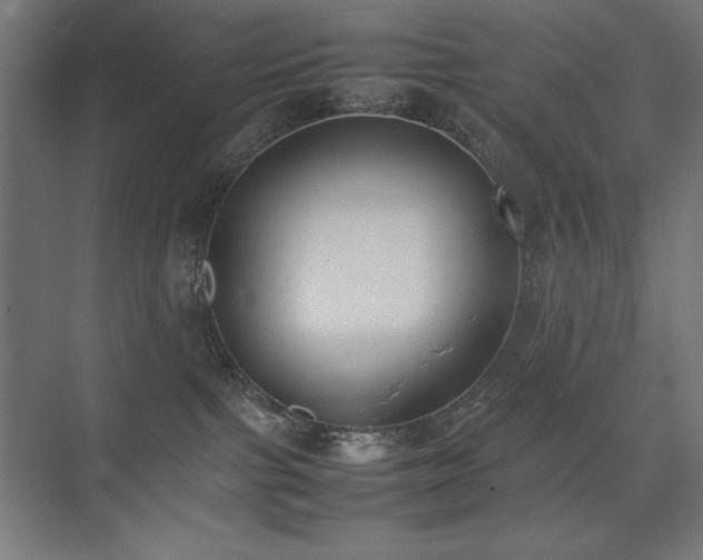 X0000074970091200609011227