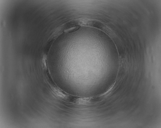 X0000074970094200609011227