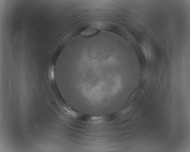 X0000074970095200609011227