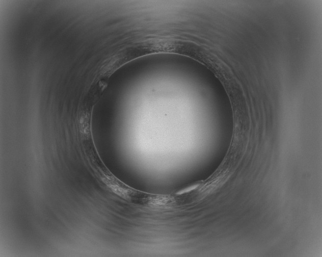 X0000074970096200609011227