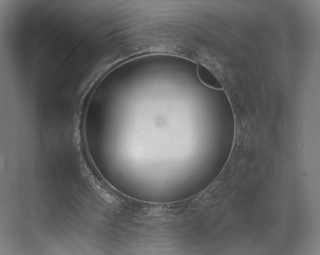 X0000074970098200609011226