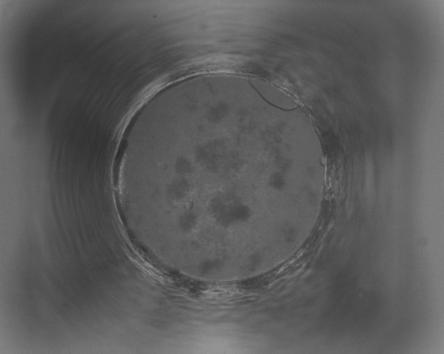 X0000074970099200609011226