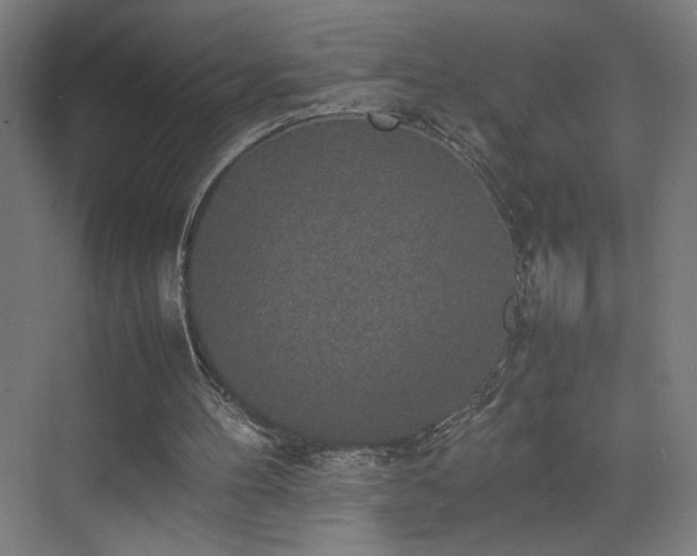 X0000074970100200609011226