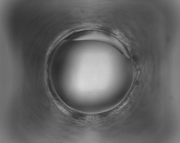 X0000074970101200609011226